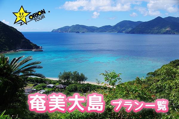 はじめての奄美大島 楽しみ方は おすすめの観光スポットは ハックルベリーツアーガイド